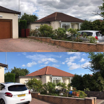 moss removal poole