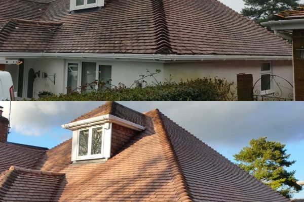 moss removal bournemouth